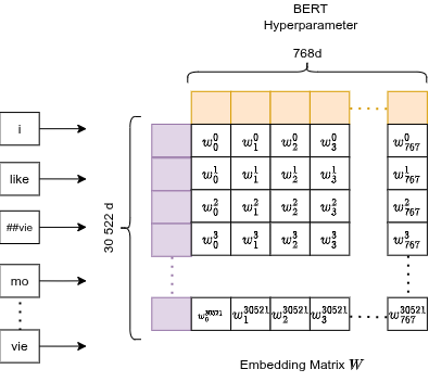 Token ID → row lookup in 768-d embedding matrix → dense vector per token