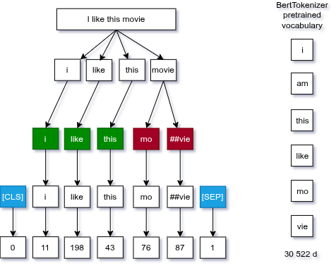 BertTokenizer: sentence → lowercase → WordPiece subwords → [CLS]/[SEP] → integer IDs