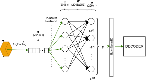 Flattening stage: adaptive avg pooling → linear projection 2048→256 → BatchNorm → 256-d vector