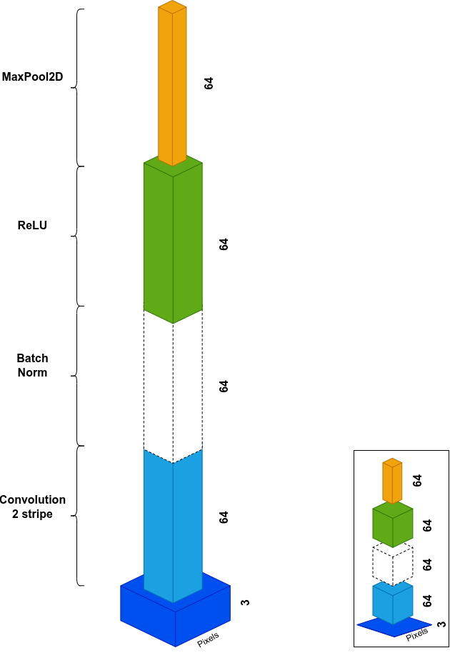 ResNet50 initial stage: aggressive spatial reduction from raw image to 64-channel feature maps