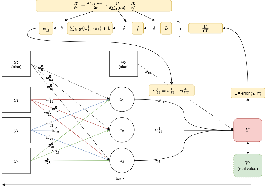 Backpropagation: la regola della catena scorre all'indietro attraverso la rete, aggiornando ogni peso proporzionalmente al suo contributo all'errore